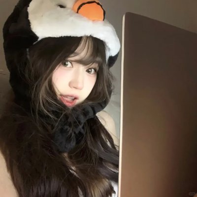 鸭川荷尔摩